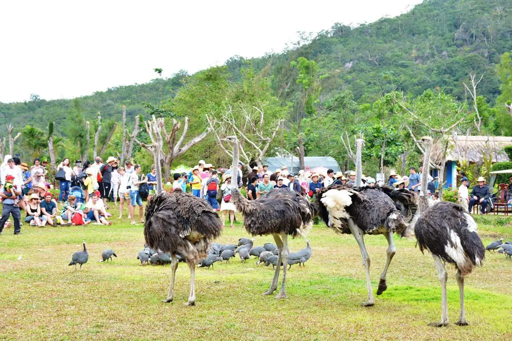 Lạc lối ở Vịnh Nha Phu – Thiên đường nhiệt đới trong lòng biển cả