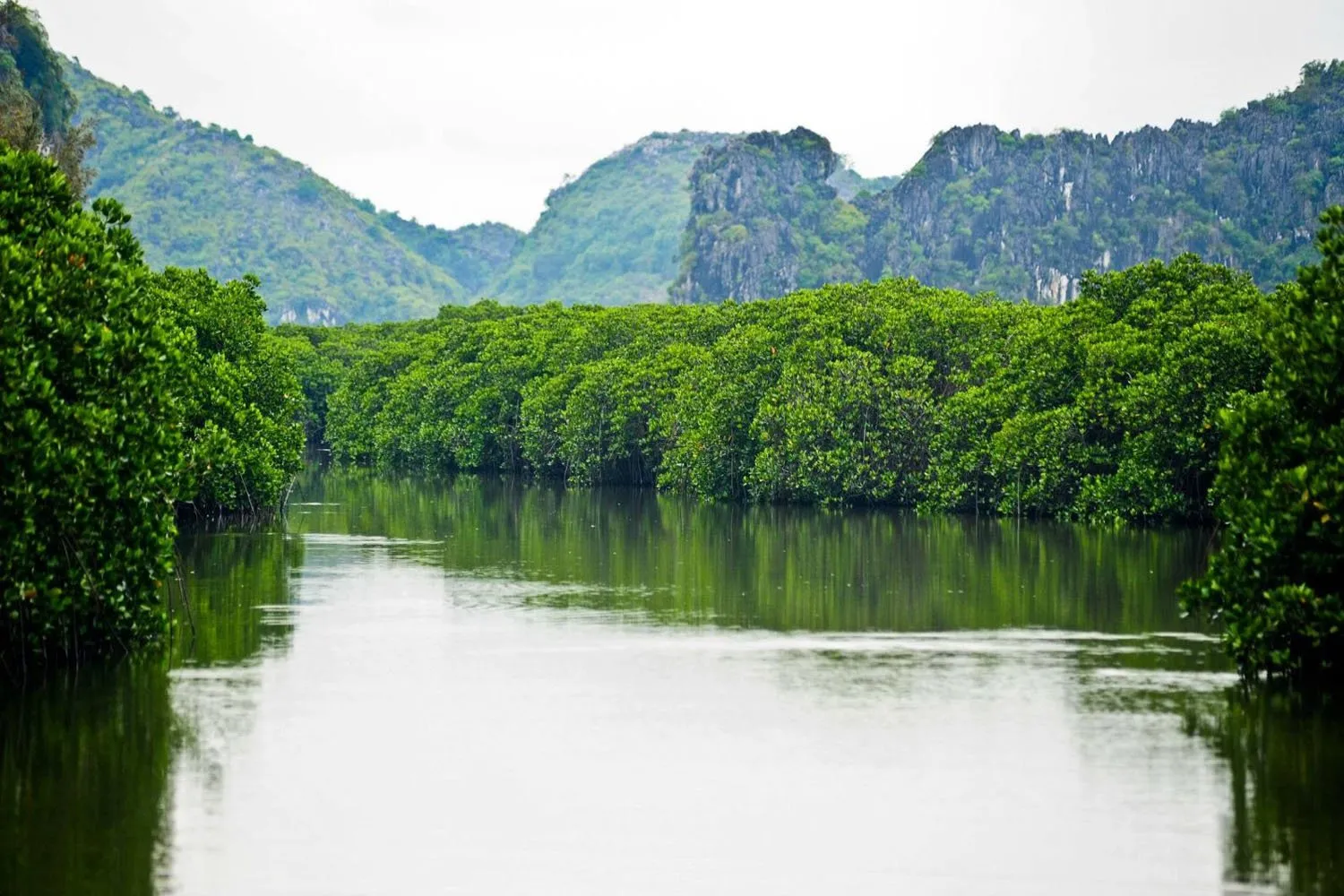 Lạc lối ở Vịnh Nha Phu – Thiên đường nhiệt đới trong lòng biển cả