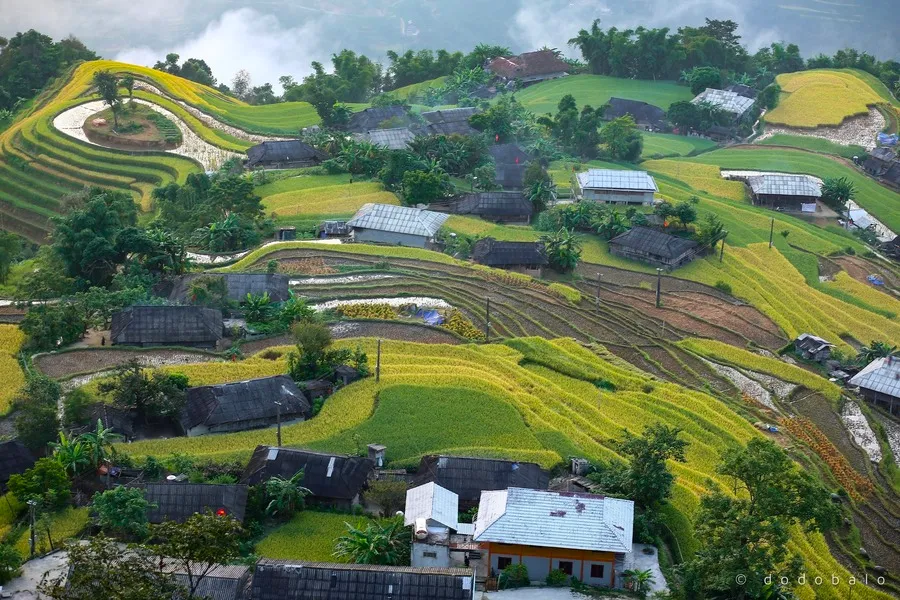 Lạc vào Bản Phùng, chốn tiên cảnh với vẻ đẹp say đắm lòng người