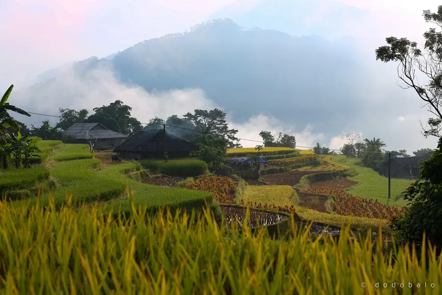 Lạc vào Bản Phùng, chốn tiên cảnh với vẻ đẹp say đắm lòng người