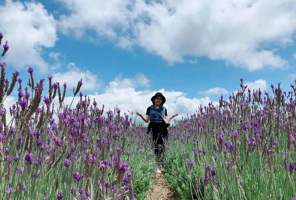 Lạc vào tiên cảnh với khu du lịch Lavender Đà Lạt