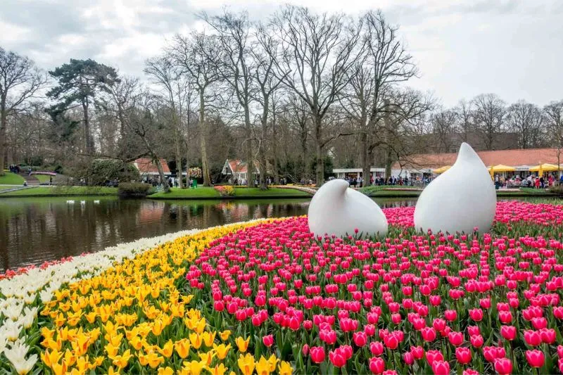 Lạc vào vườn Keukenhof với cánh đồng 7 triệu hoa tulip nở rộ