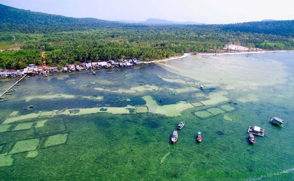 Lặn biển ngắm san hô – Khám phá vẻ đẹp ẩn mình của đại dương Phú Quốc