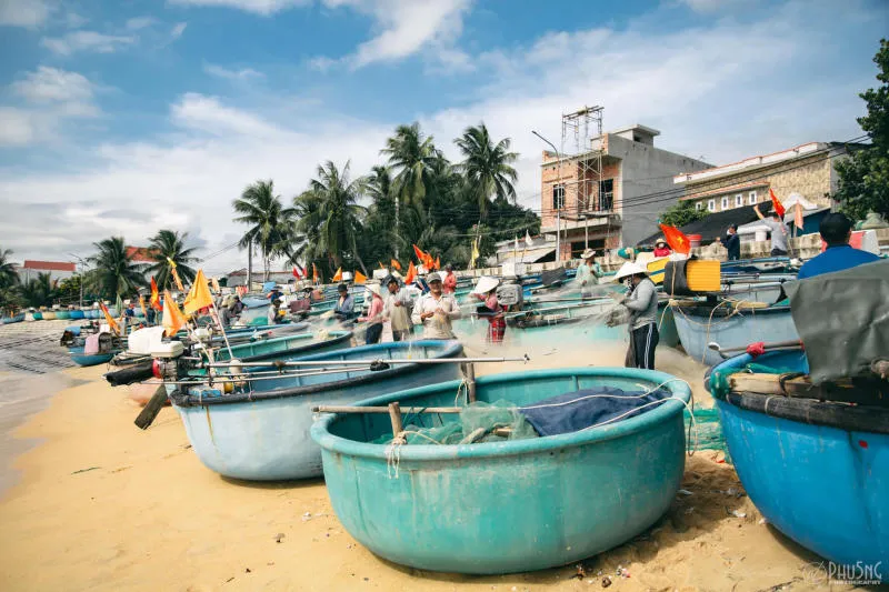 Làng chài Xuân Hải bình dị ở chốn hoa vàng trên cỏ xanh