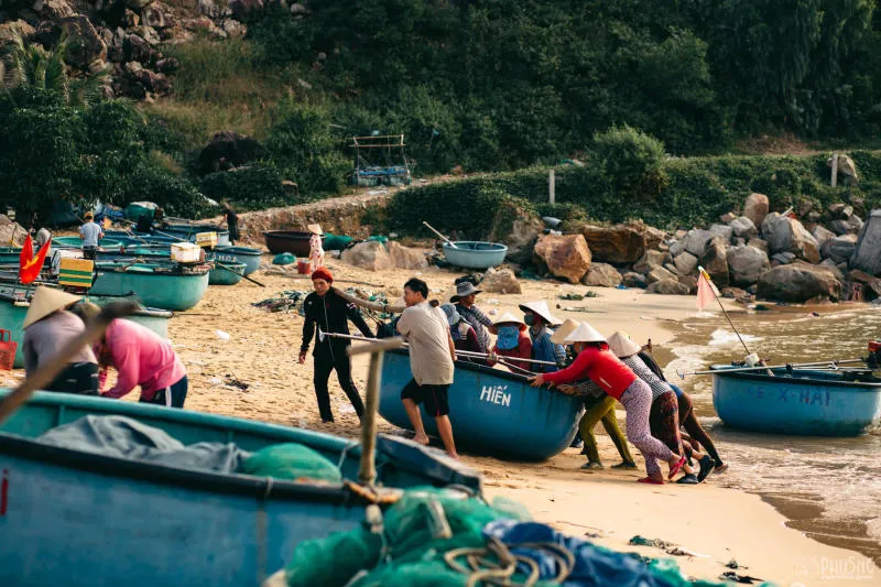 Làng chài Xuân Hải bình dị ở chốn hoa vàng trên cỏ xanh