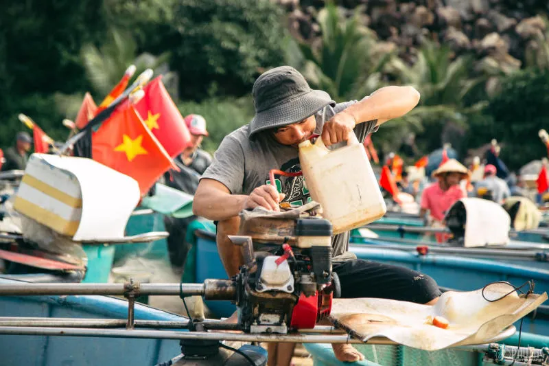 Làng chài Xuân Hải bình dị ở chốn hoa vàng trên cỏ xanh