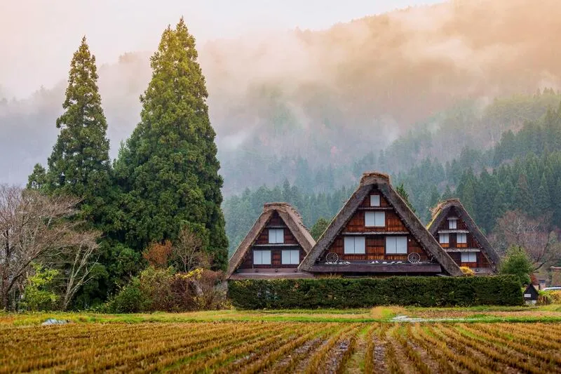 Làng cổ Shirakawa-go, miền đất đầy mê hoặc mùa tuyết trắng