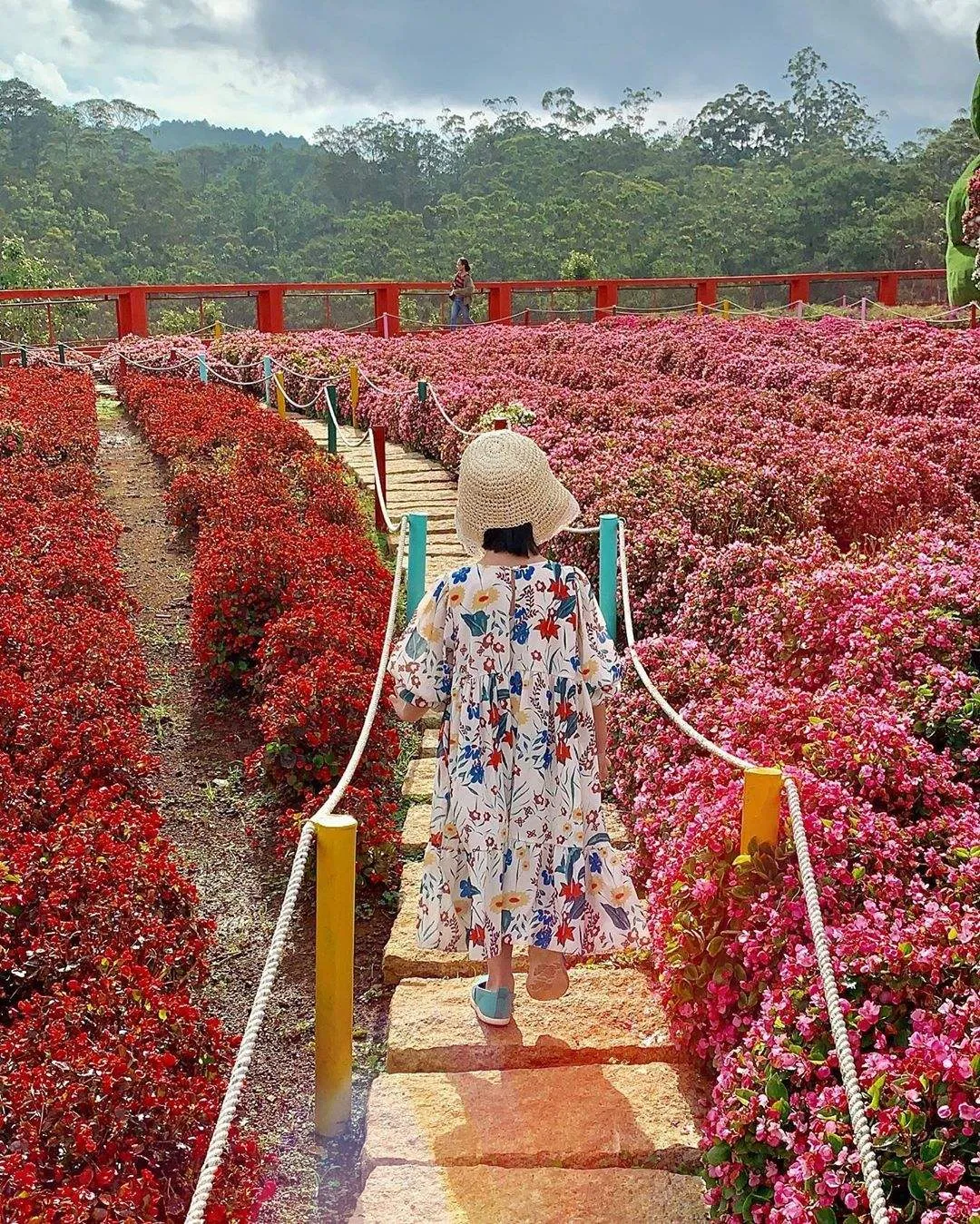 Làng hoa Vạn Thành – Lạc vào vườn địa đường chốn Đà Lạt mộng mơ