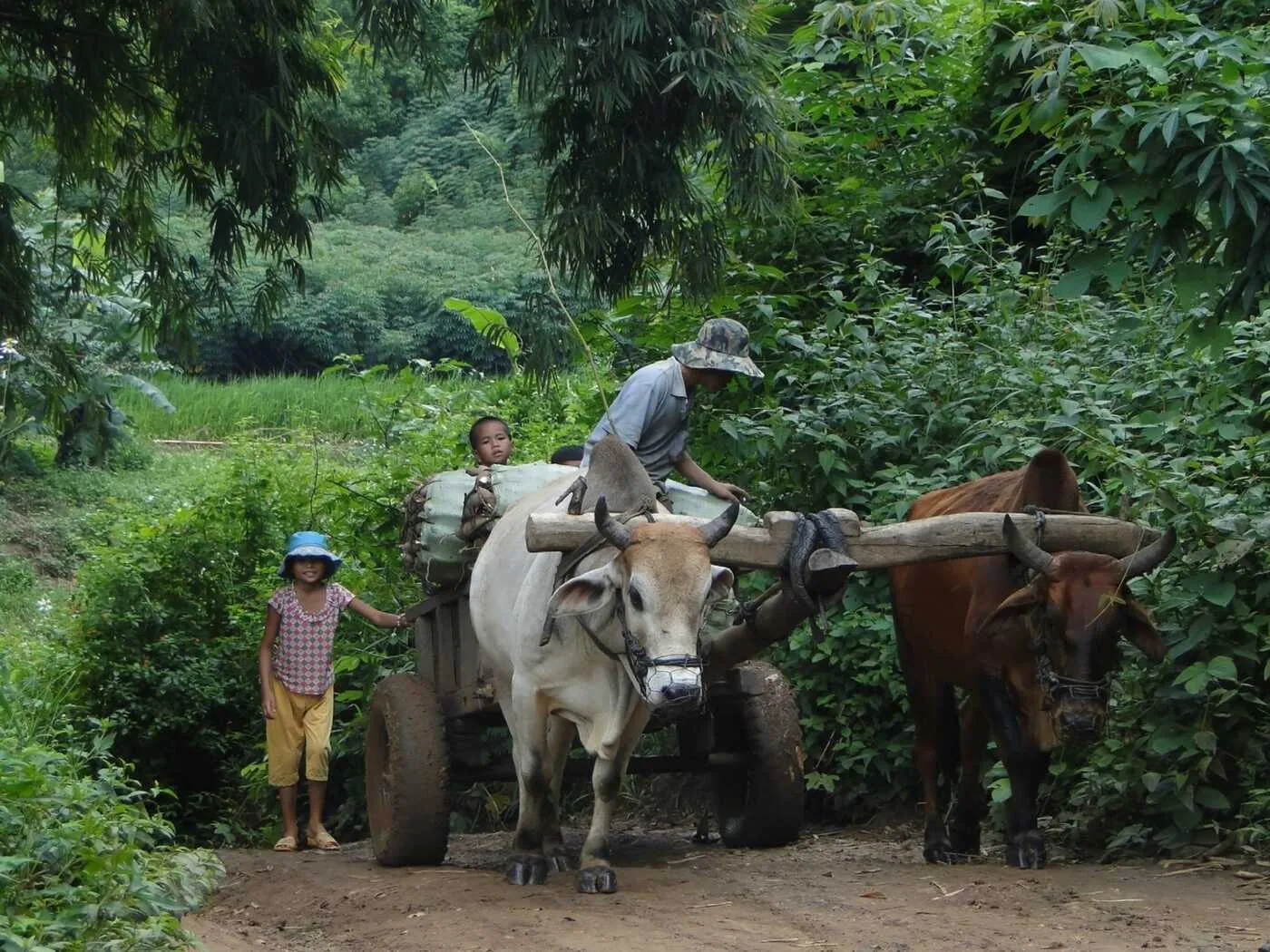 Làng Kon Kơtu, nét đẹp văn hóa nơi đại ngàn Kon Tum