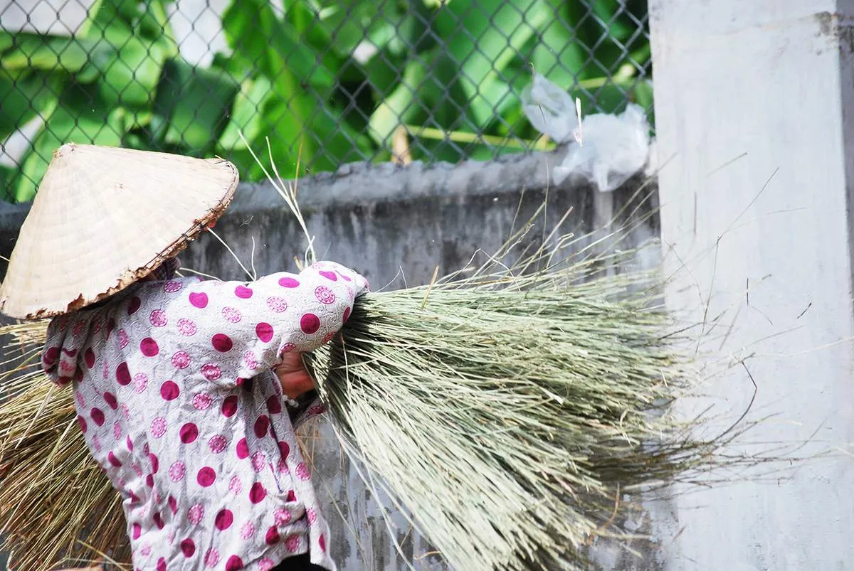 Làng nghề cói Kim Sơn – Sắt son gắn bó với nghề truyền thống hơn 200 năm