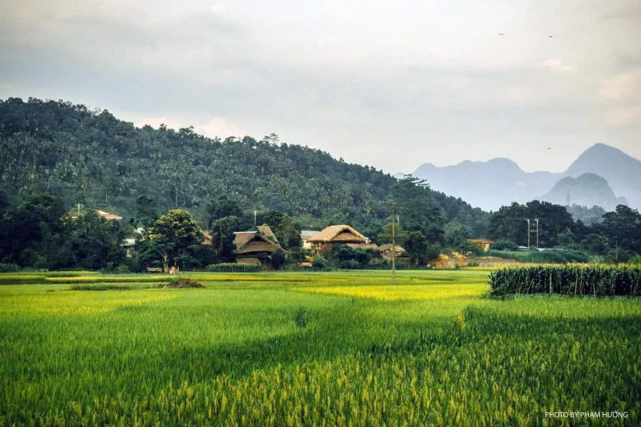 Làng quê Hà Giang yên bình vào mỗi buổi chiều trên cao nguyên đá