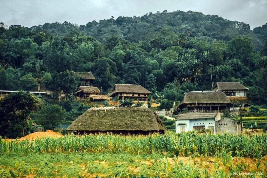 Làng quê Hà Giang yên bình vào mỗi buổi chiều trên cao nguyên đá