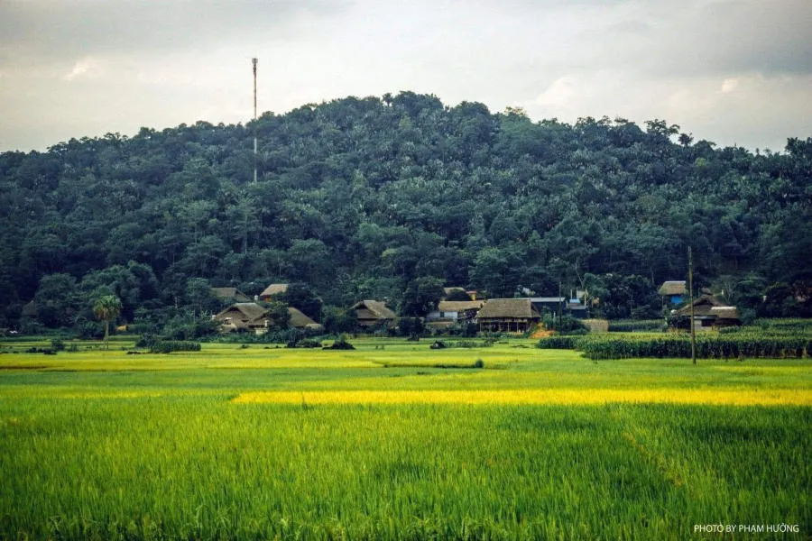 Làng quê Hà Giang yên bình vào mỗi buổi chiều trên cao nguyên đá