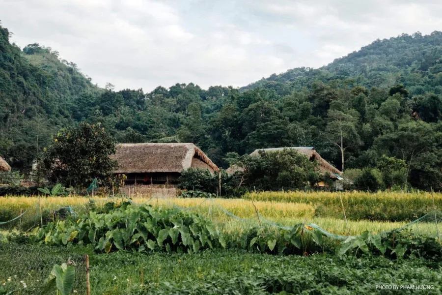 Làng quê Hà Giang yên bình vào mỗi buổi chiều trên cao nguyên đá