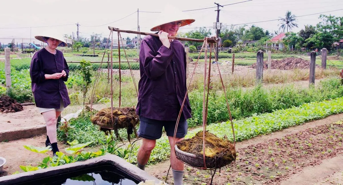 Làng rau Trà Quế Hội An – Từ làng rau dung dị đến điểm tham quan Quốc tế