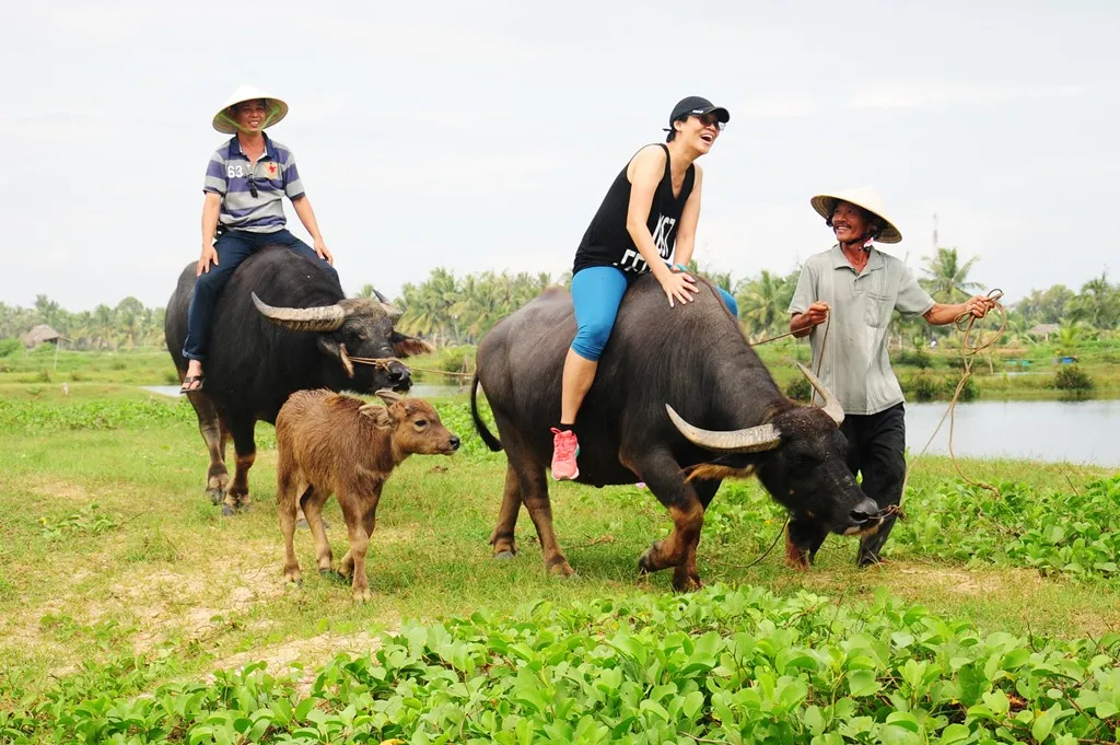 Làng rau Trà Quế Hội An – Từ làng rau dung dị đến điểm tham quan Quốc tế