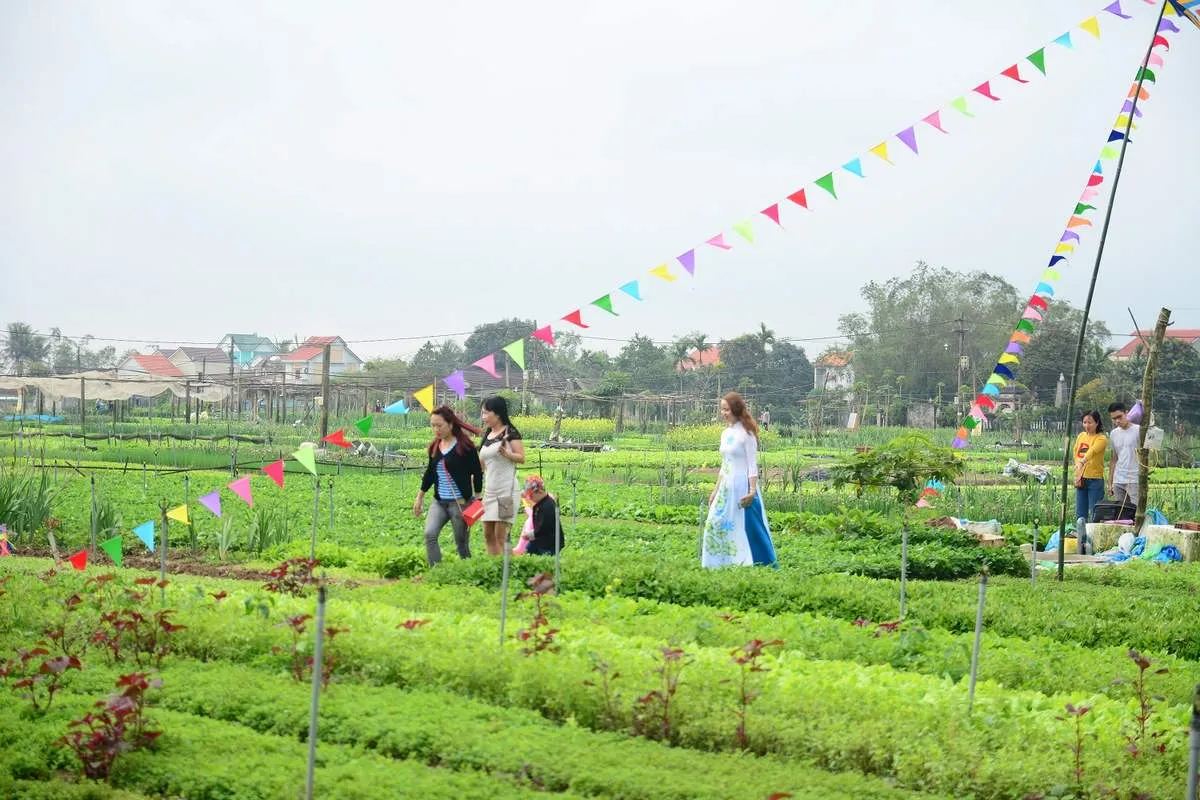 Làng rau Trà Quế Hội An – Từ làng rau dung dị đến điểm tham quan Quốc tế