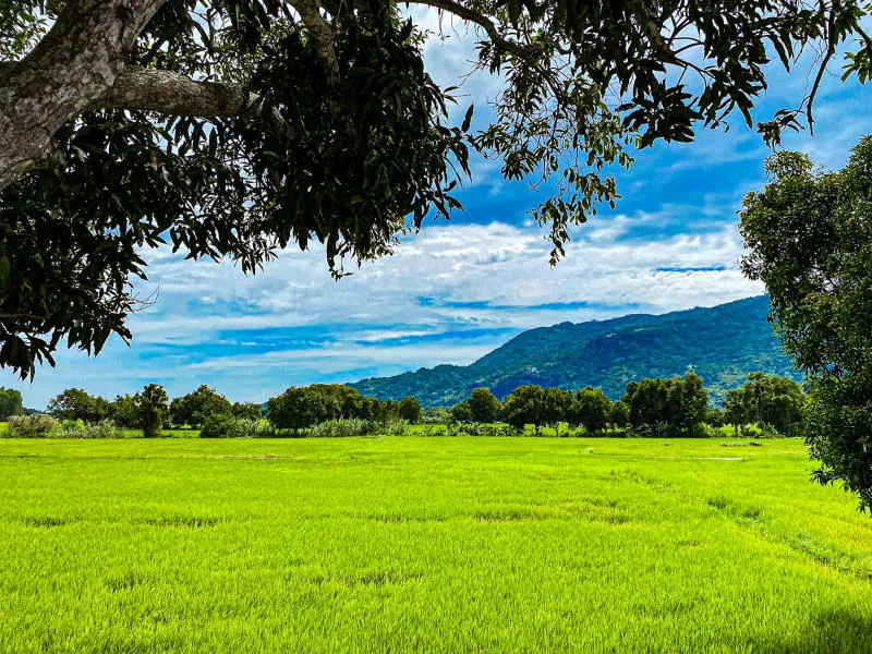 Lang thang An Giang khám phá vẻ đẹp bình dị