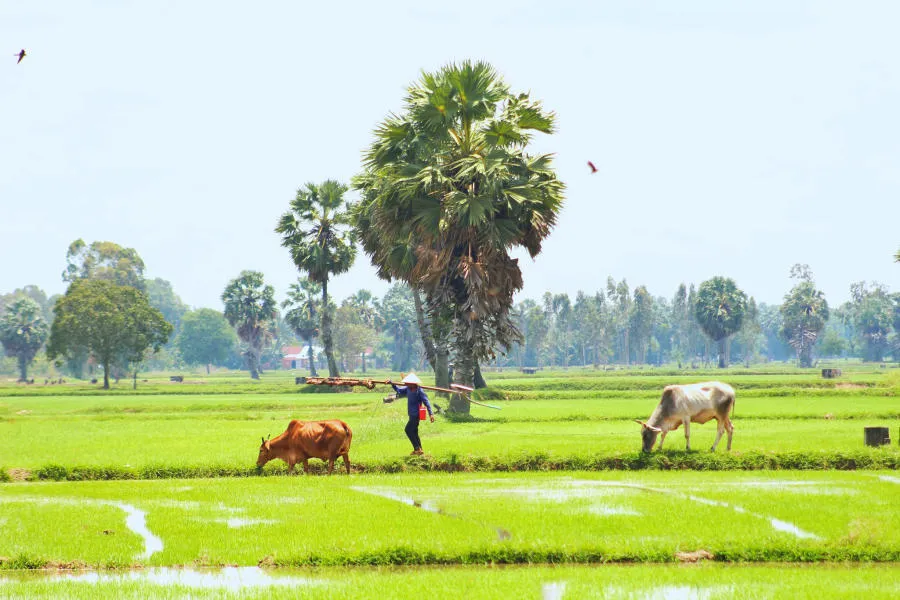 Lang thang Bảy Núi An Giang tìm về một miền quê thanh bình