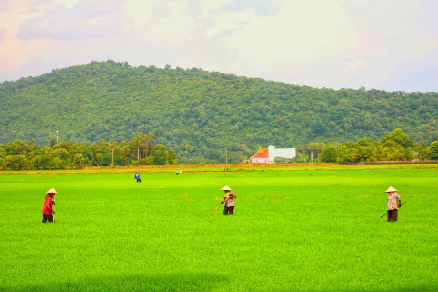 Lang thang Bảy Núi An Giang tìm về một miền quê thanh bình