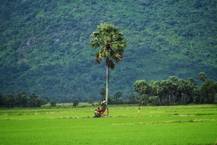 Lang thang Bảy Núi An Giang tìm về một miền quê thanh bình