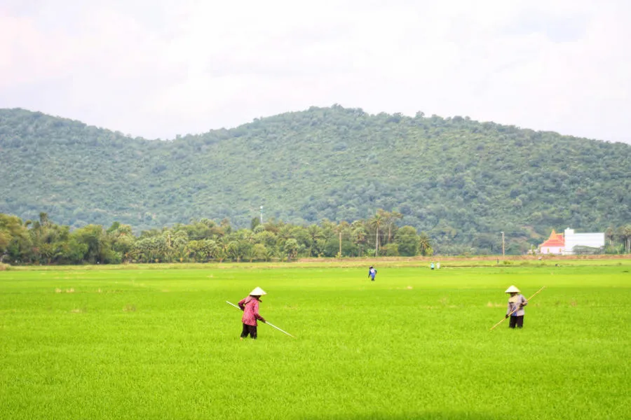 Lang thang Bảy Núi An Giang tìm về một miền quê thanh bình