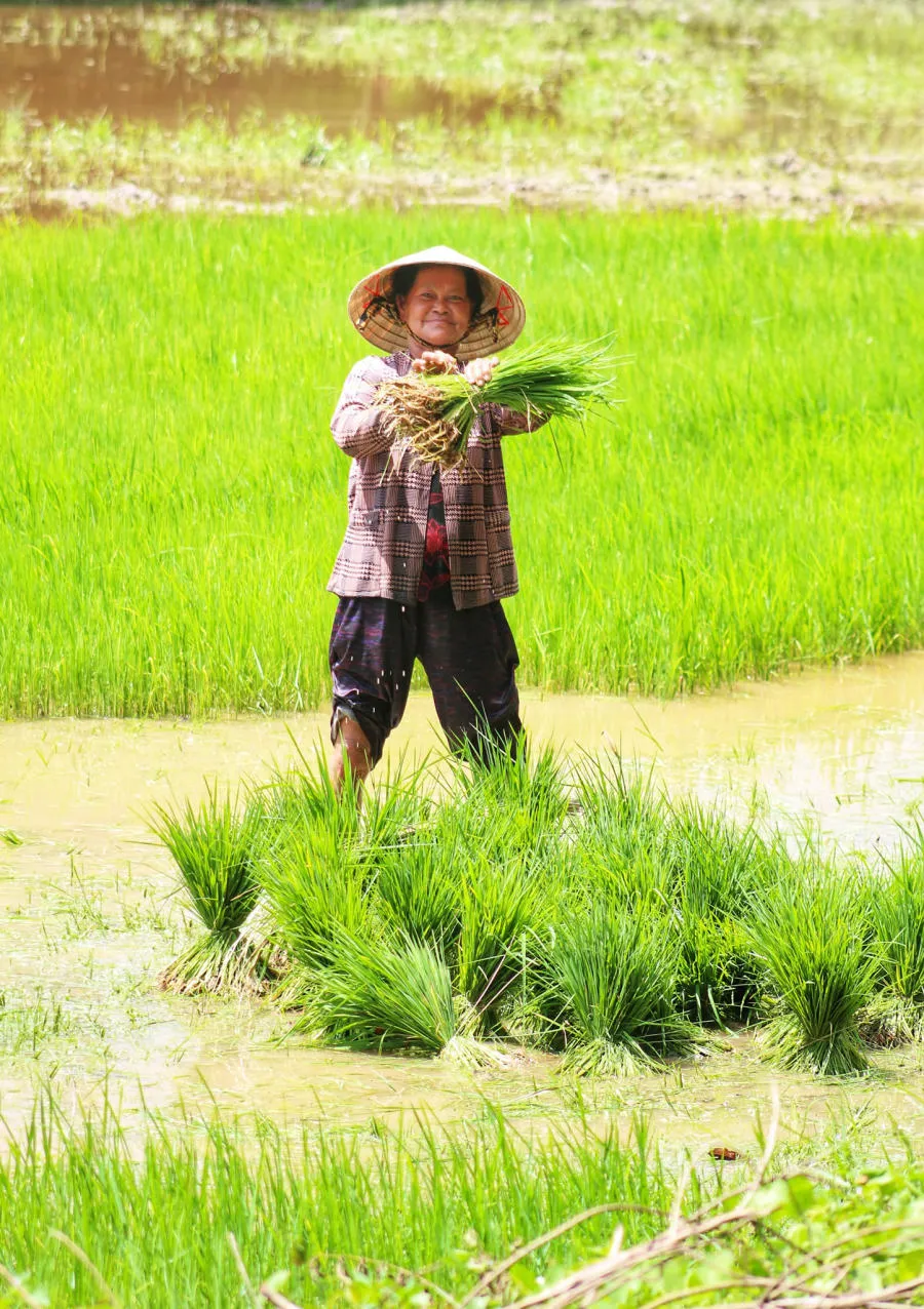 Lang thang Bảy Núi An Giang tìm về một miền quê thanh bình