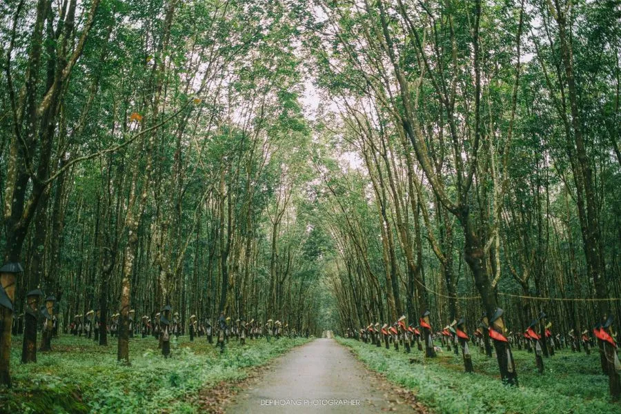 Lang thang Kon Tum khám phá bức tranh hùng vĩ nơi đại ngàn bình yên