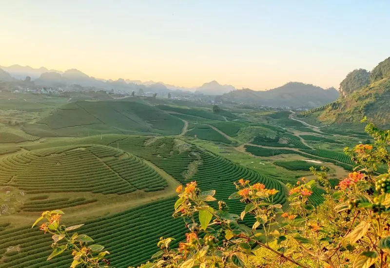 Lang thang Mộc Châu ngắm nhìn bức tranh thiên nhiên rực rỡ