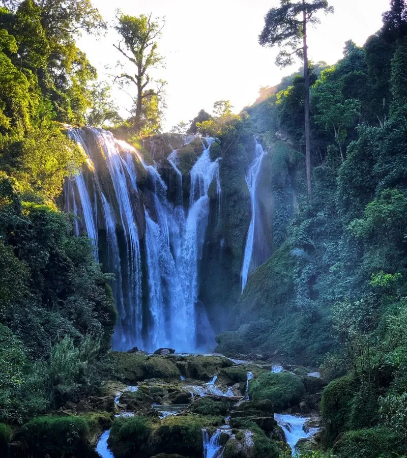 Lang thang Mộc Châu ngắm nhìn bức tranh thiên nhiên rực rỡ