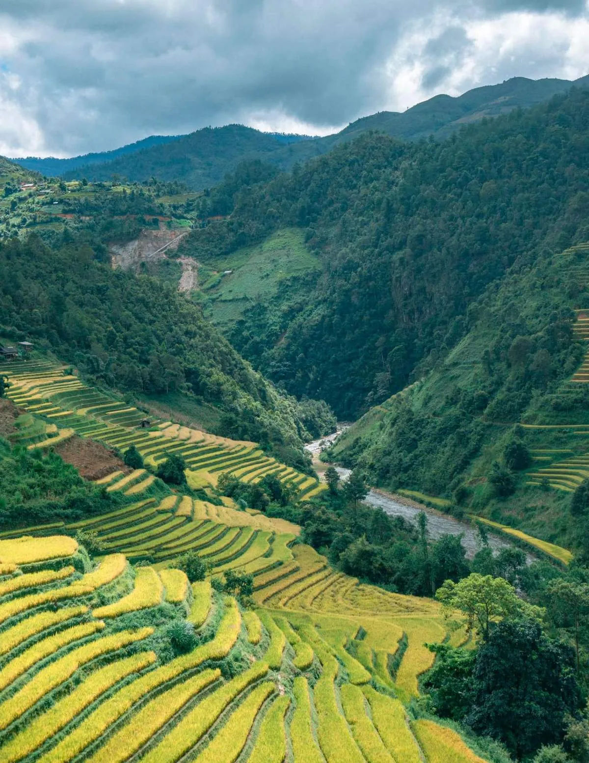 Lang thang Mù Cang Chải chiêm ngưỡng bức tranh làng quê vùng cao đẹp đắm say