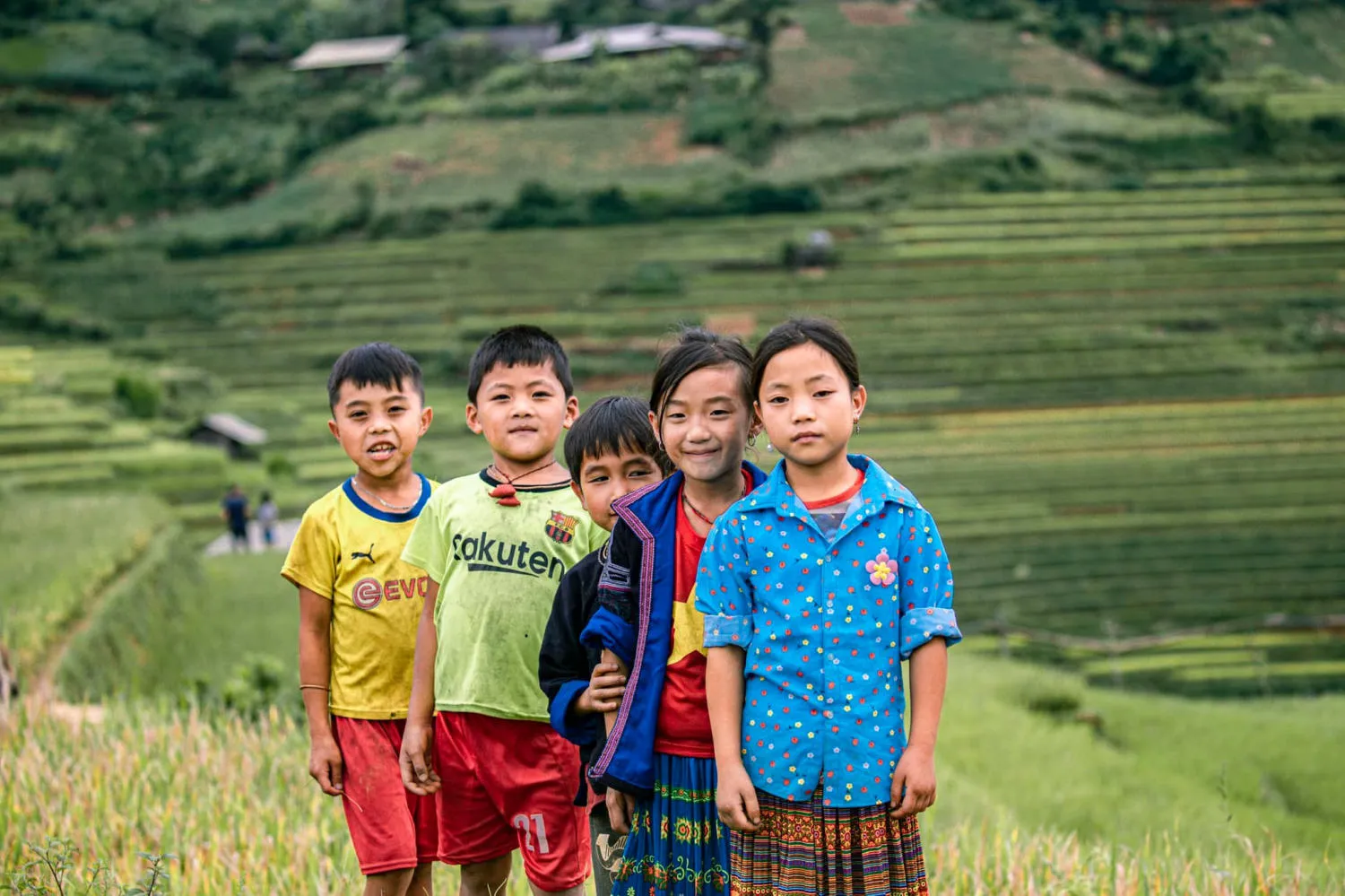 Lang thang Mù Cang Chải chiêm ngưỡng bức tranh làng quê vùng cao đẹp đắm say