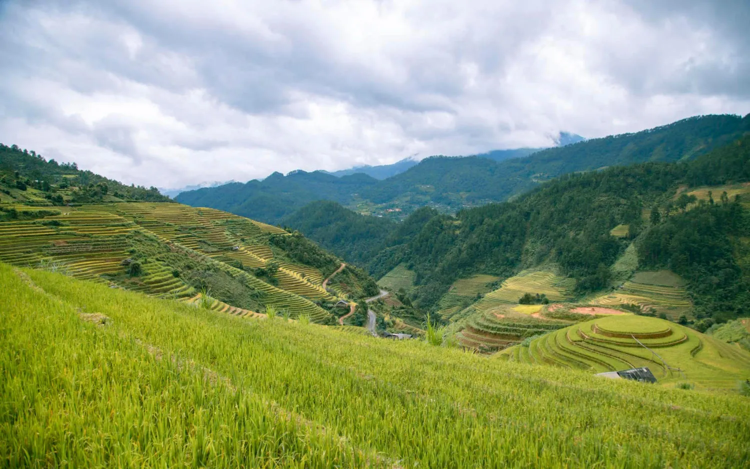 Lang thang Mù Cang Chải chiêm ngưỡng bức tranh làng quê vùng cao đẹp đắm say