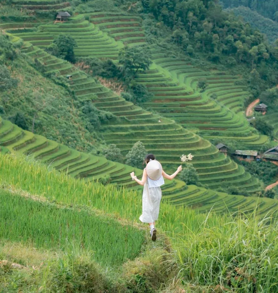 Lang thang Mù Cang Chải khám phá bức tranh Tây Bắc đẹp ngẩn ngơ