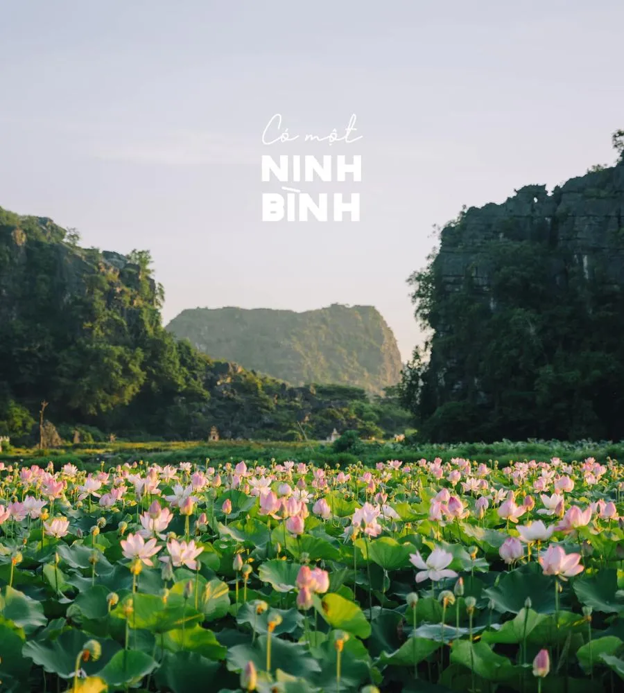 Lang thang Ninh Bình qua những điểm đến bình yên