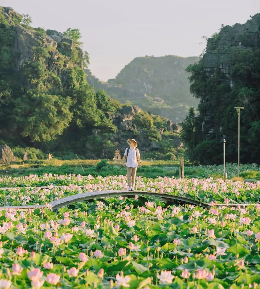 Lang thang Ninh Bình qua những điểm đến bình yên