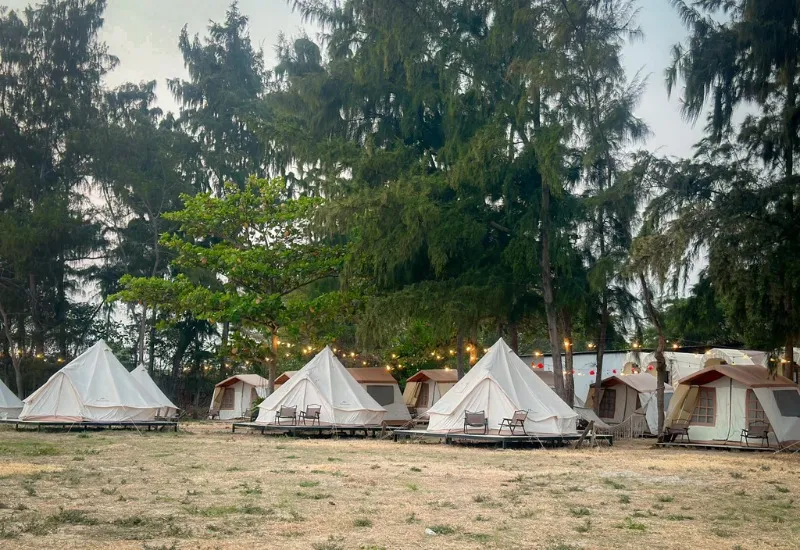 Lata camping: địa điểm dã ngoại đẹp nhất tại Cần Giờ