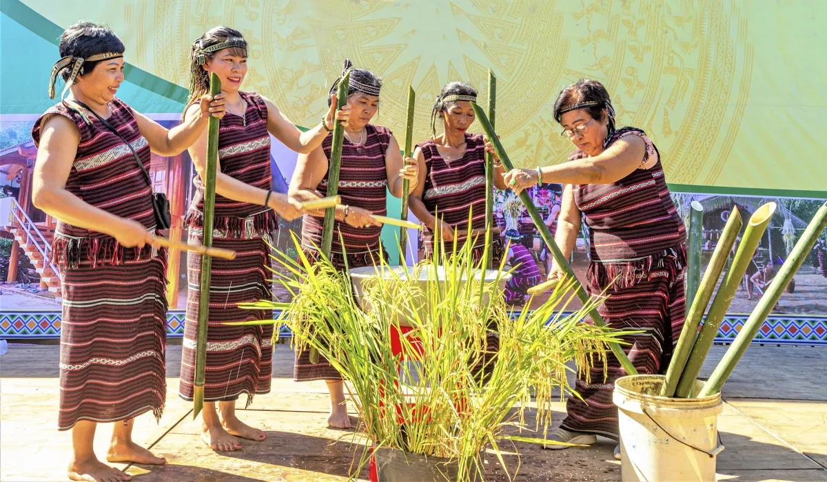 Lễ hội Nhan Lúa, Thần Nông (Châu Ro) truyền thống có gì đặc sắc