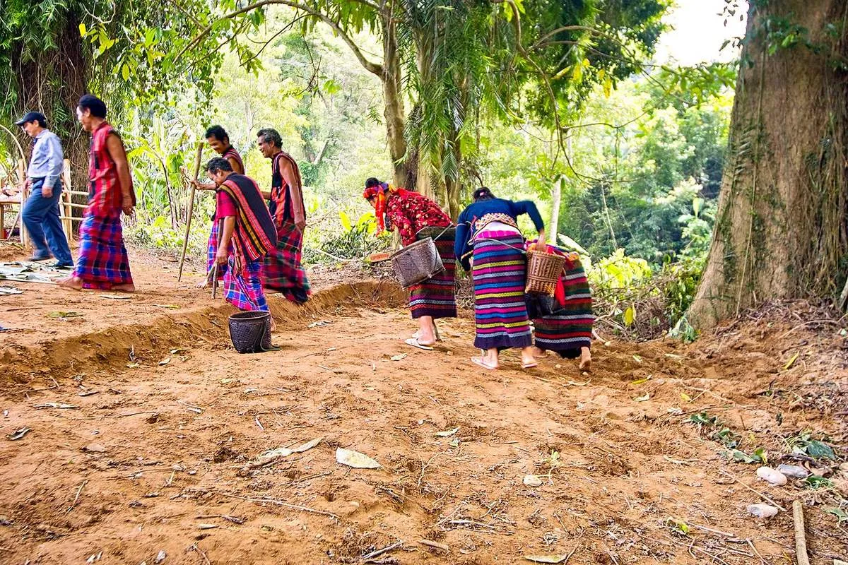 Lễ hội trỉa lúa Quảng Bình, tín ngưỡng độc đáo của dân tộc vùng cao