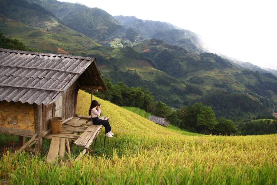 Lên đường khám phá Mù Cang Chải săn mùa lúa chín vàng