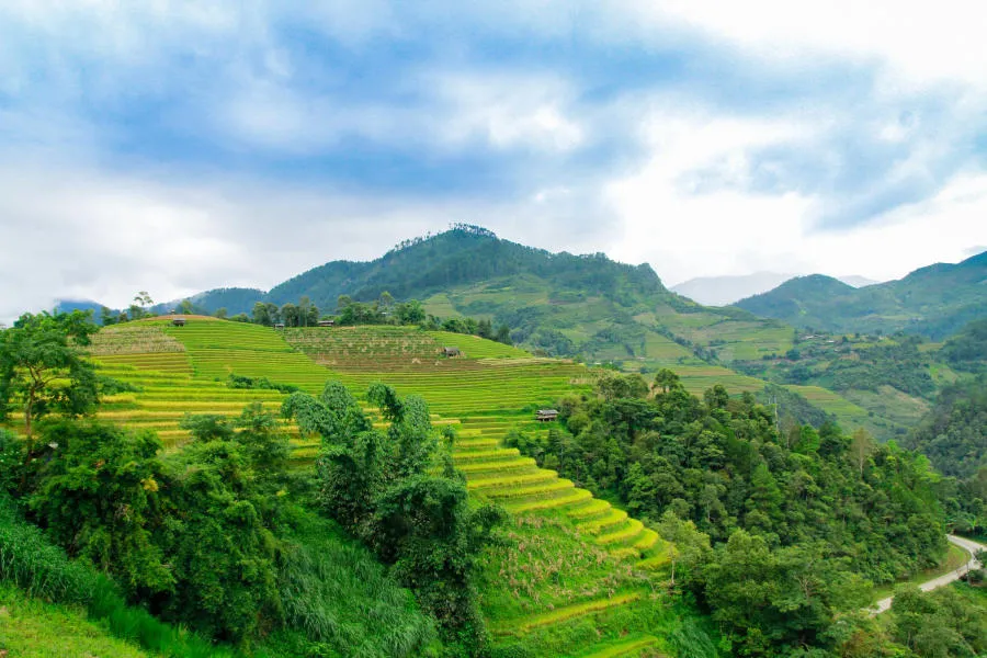 Lên đường khám phá Mù Cang Chải săn mùa lúa chín vàng