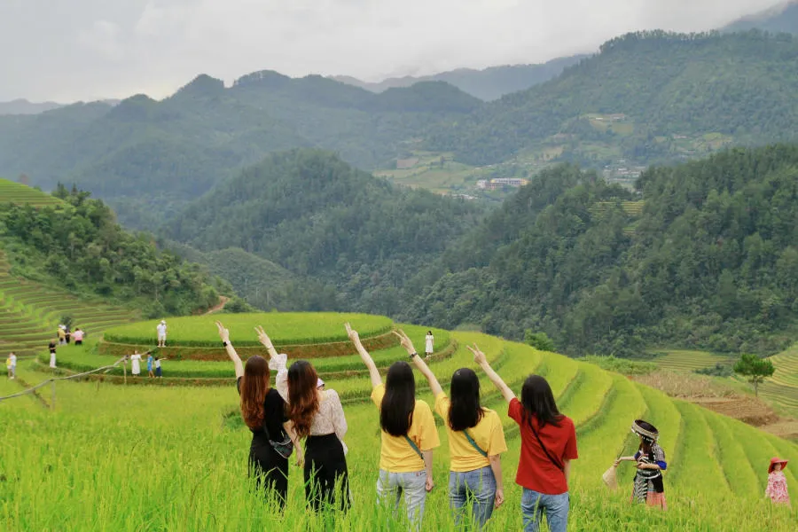 Lên đường khám phá Mù Cang Chải săn mùa lúa chín vàng