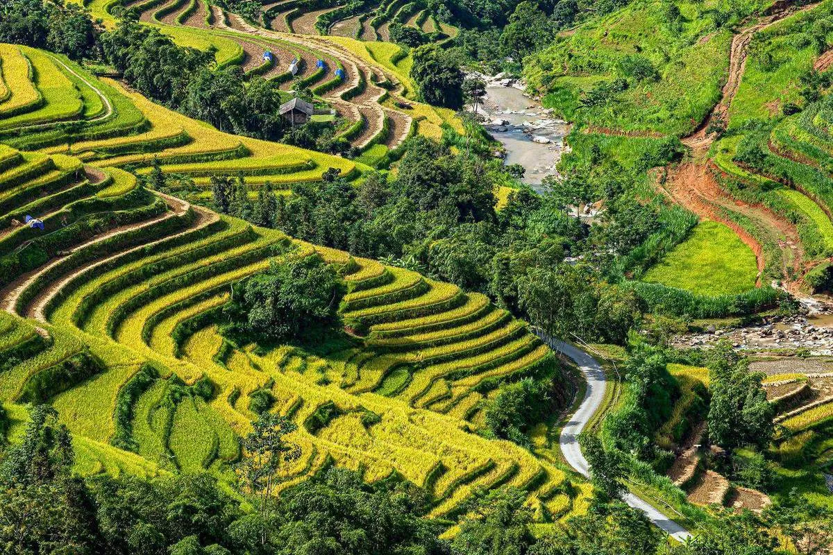 Lịch trình 4 ngày trekking Tây Côn Lĩnh – Chiêu Lầu Thi – Hoàng Su Phì