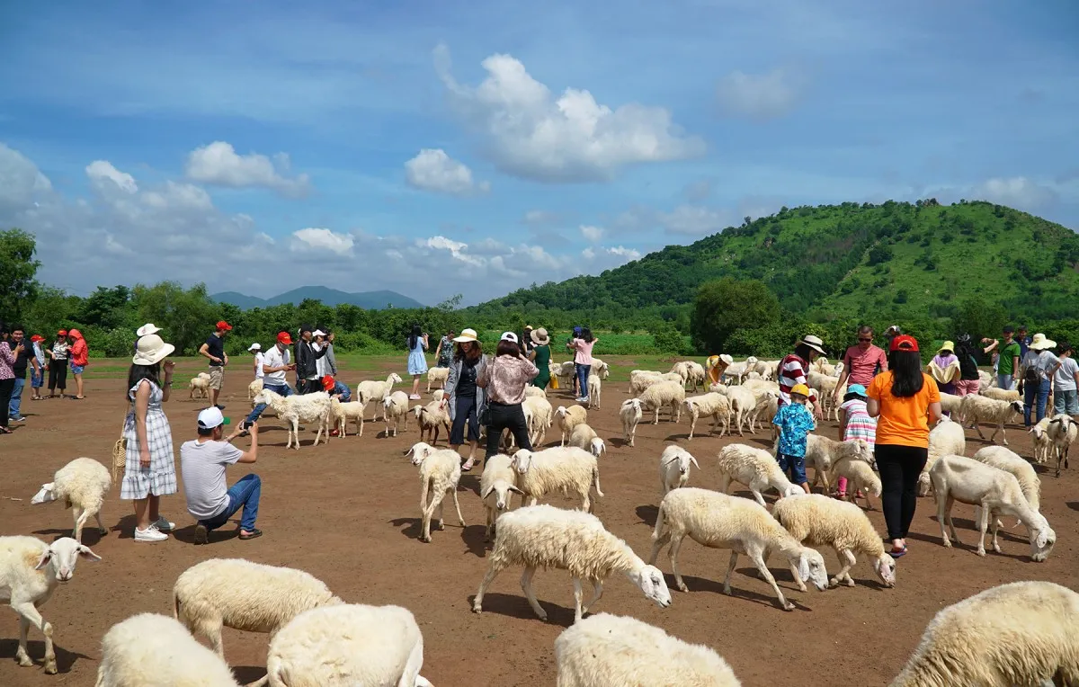 Lịch trình cắm trại Vũng Tàu 2N1Đ – Cắm trại trên Mũi Nghinh Phong