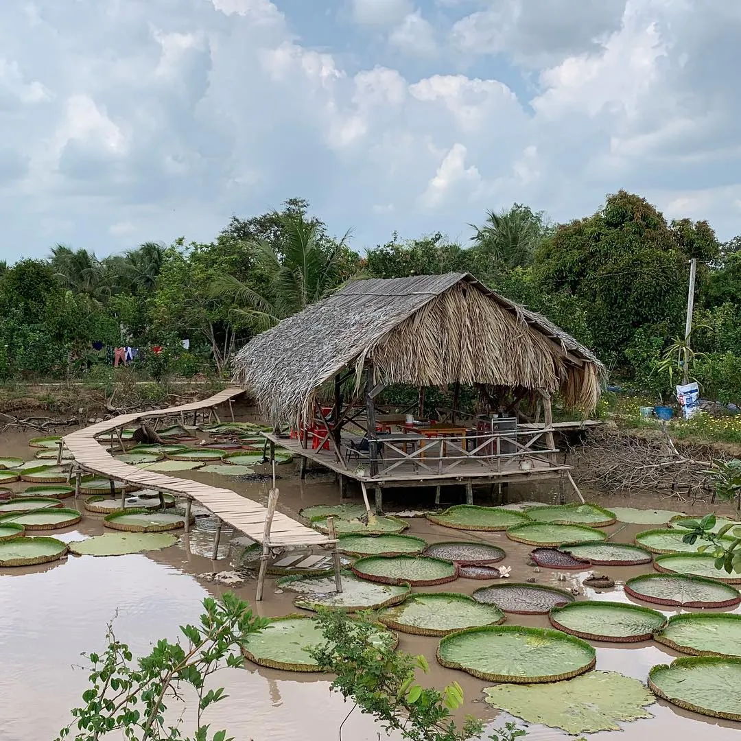 Lịch trình Cần Thơ 2N1Đ tự túc cực thú vị dành cho hội bạn thân