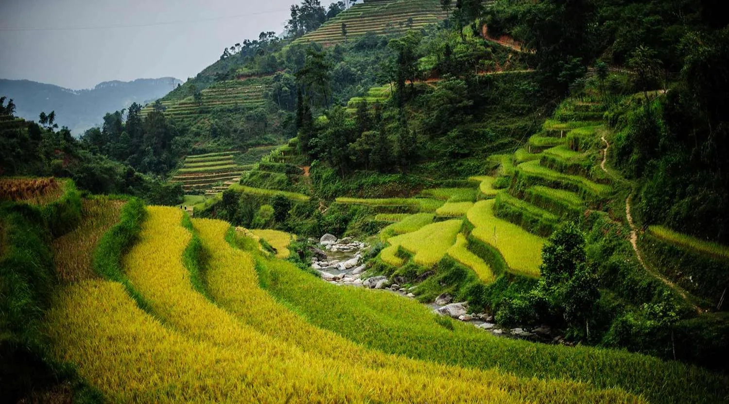 Lịch trình chinh phục cao nguyên đá Đồng Văn tự túc 3N2Đ