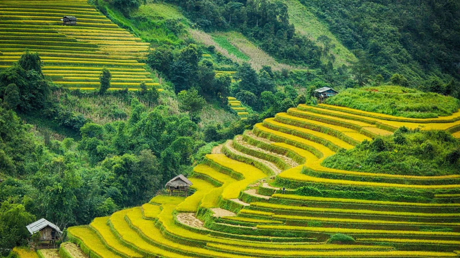 Lịch trình du lịch Hà Giang 3 ngày 2 đêm chi tiết dành cho bạn