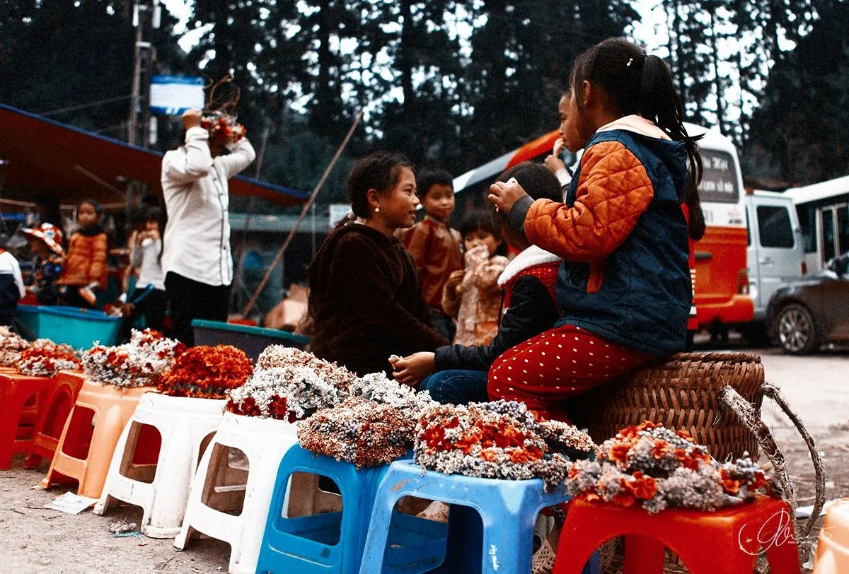 Lịch trình Hà Giang tự túc 3N2Đ – Nhẹ nhàng nhưng đầy thương nhớ