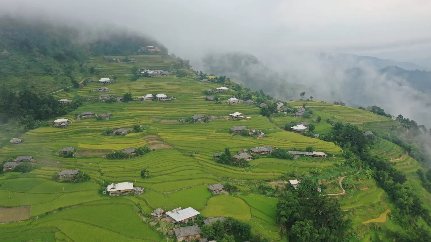 Lịch trình Hà Giang tự túc 5N4Đ khám phá Hoàng Su Phì – Không chỉ là chuyến đi