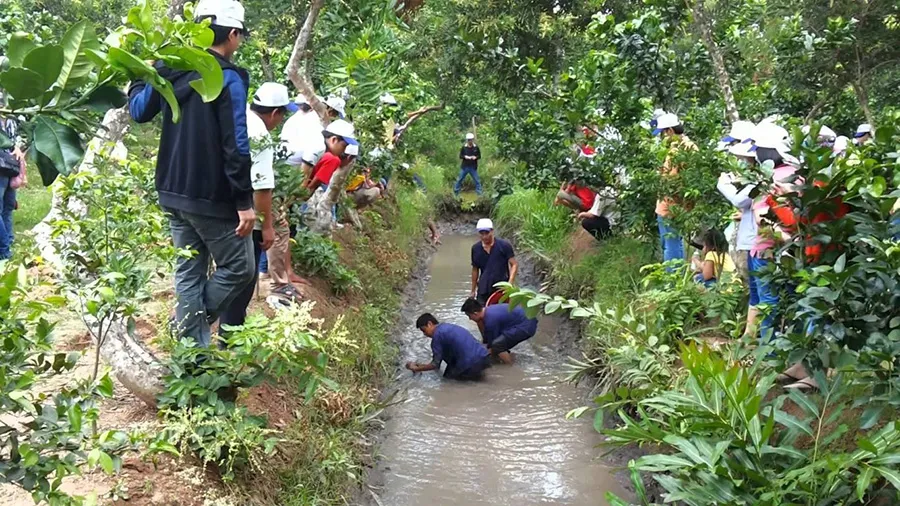 Lịch trình khám phá Bến Tre 2 ngày 1 đêm với nhiều kỷ niệm đáng nhớ